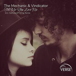 Cover for Vindicator by Love